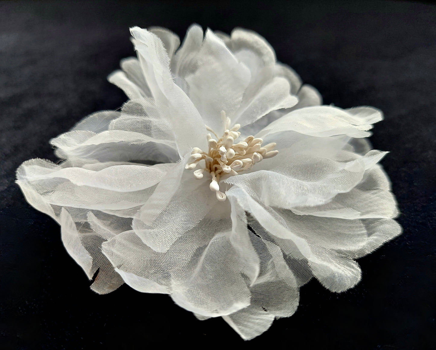 Die Blume der Eleganz