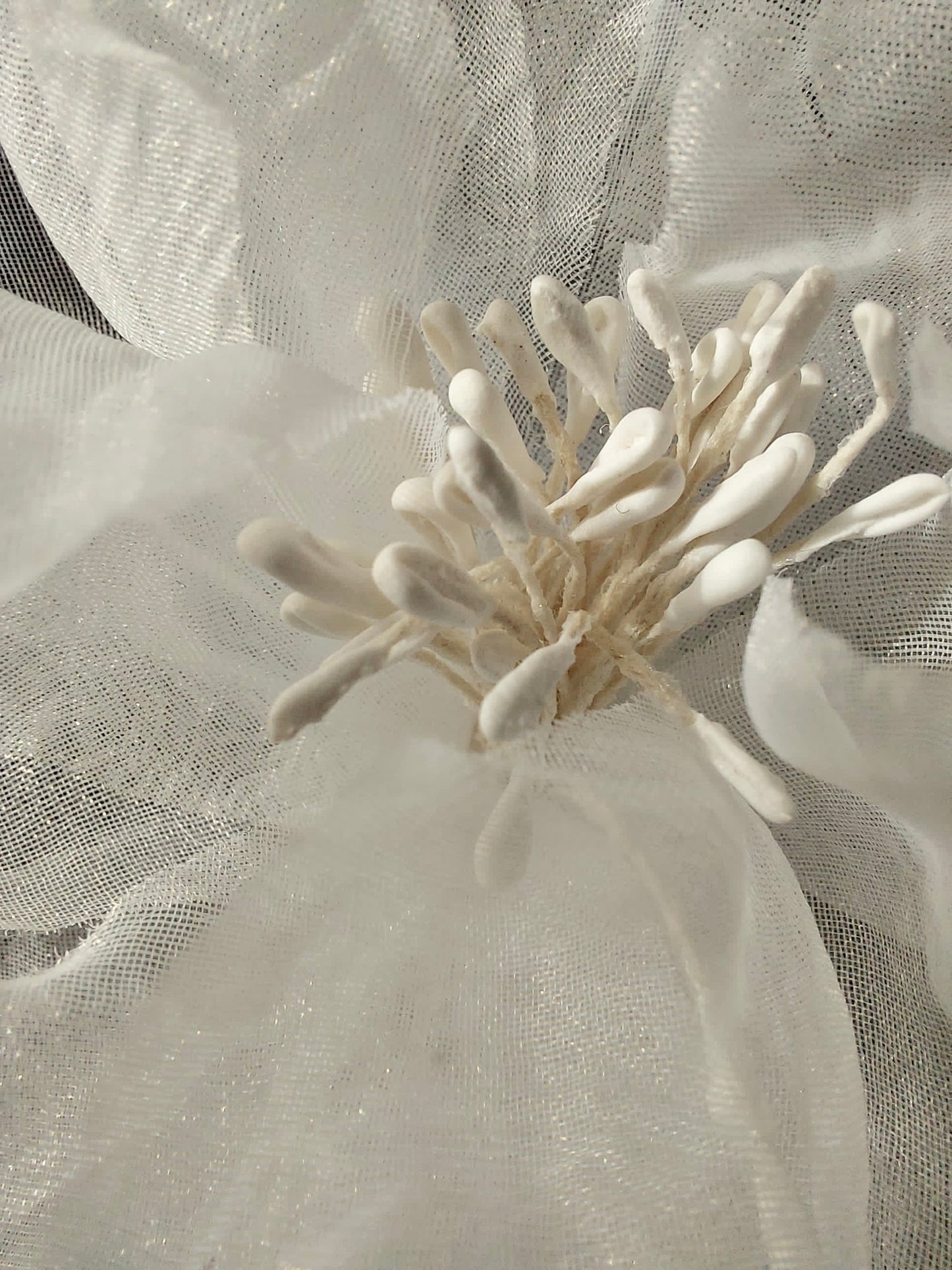 Die Blume der Eleganz