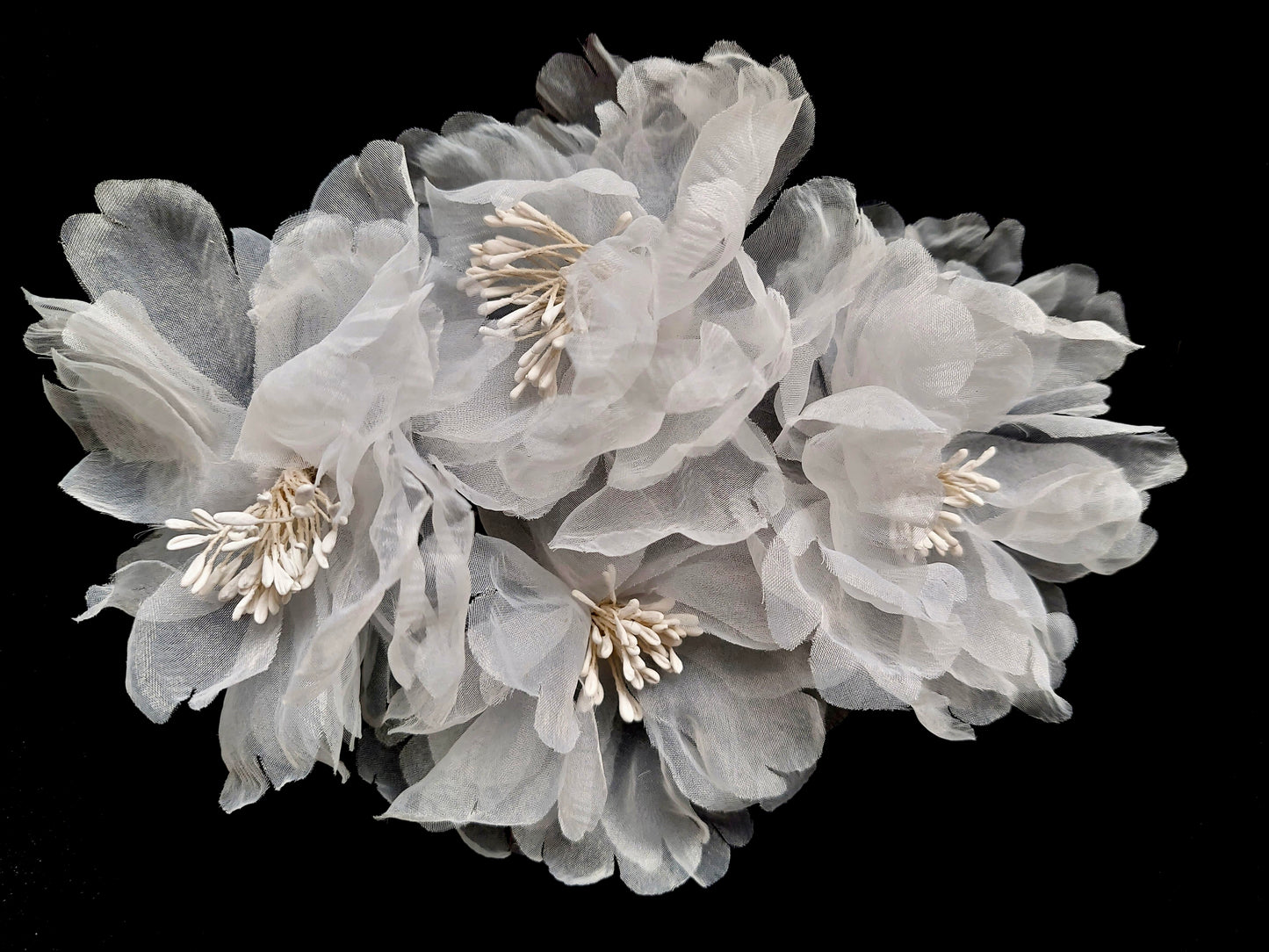 Die Blume der Eleganz